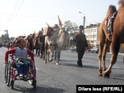 Участники экспедиции «Культурный караван Великого шелкового пути» прибыли из Китая в город Тараз. 8 октября 2015 года.