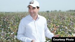 Illýustrasiýa suraty