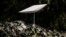An antenna of the Starlink satellite-based broadband system is deployed in Izyum in Ukraine's Kharkiv region amid the Russian invasion.