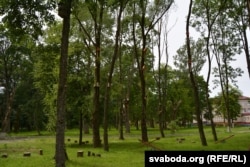 Ускраіна парку ў Станькаве