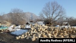 yeni bağçanın inşası