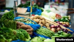 Херсонщина давала 30% українського ринку овочів