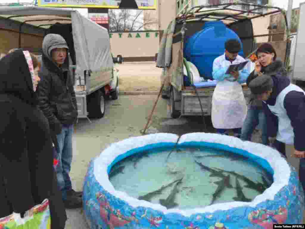 На ярмарку привезли и рыбу осетровых пород. Вес одной рыбы &ndash; около двух килограммов.