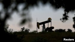 بهای نفت برنت به حدود ۷۸ دلار و نفت وست‌تگزاس به بیشتر از ۶۵ دلار در هربشکه رسیده‌است