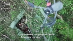 Ukrayna Rusiya dronlarını torla tutur