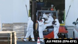 Diamond Princess корабы янында