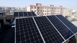 Արևային էներգետիկայի ոլորտում հստակ քաղաքականության պակաս կա. փորձագետ