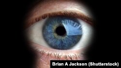 Иллюстративное фото