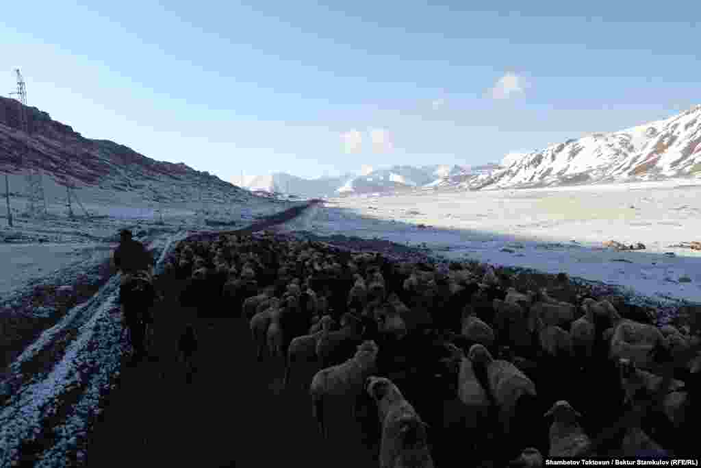 Кумтөргө кеткен жол.&nbsp;