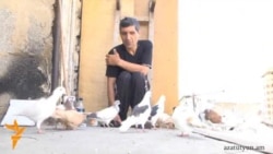 Կոնդեցի կոշկակար-ղուշբասը, որն ապրում է տանիքում