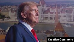 Дональд Трамп, коллаж 