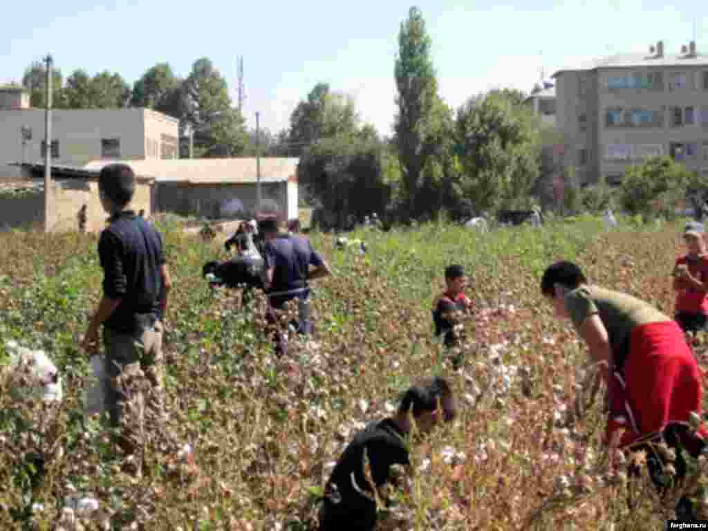 Узбекистан. Детей школьного возраста активно привлекают к сбору хлопка