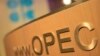 تولید نفت اوپک اوج گرفت؛ افت قیمت رکورد زد