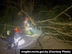 Супрацоўнікі МНС Беларусі ліквідуюць наступствы моцнага ветру ў Магілёўскай вобласьці, 1 ліпеня 2025 году