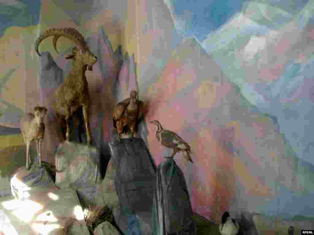 Осорхонаи кишваршиносии Бадахшон #8