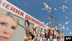 Мітинг прихильників Тимошенко в Києві, 5 серпня 2013 року