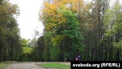 Парк пажадана хіба толькі крыху добраўпарадкаваць