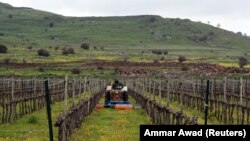 Голан аймагы.