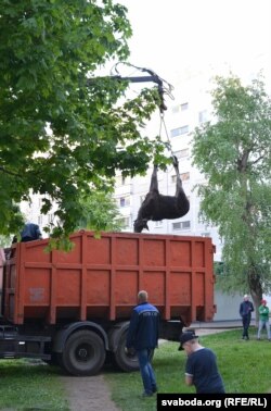 Так грузілі цела здохлай жывёлы