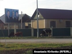 Село Джалка