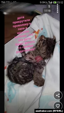 Фото из публикации в соцсетях