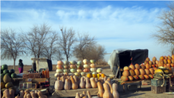 Diňle: Ahally daýhanlar para bermän, wideo beýanat edip göreşjek diýýärler