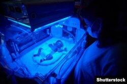 Кювези стають справжньою фортецею, з необхідною температурою та вологістю