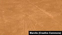 Один из рисунков в пустыне Наска (фламинго)