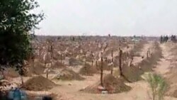 Diňle: Ymamyň mazar daşlary baradaky talaby ilatda garşylyk döretdi