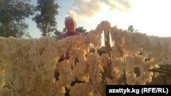 Какеш Жумабай кызы