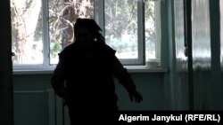 Иллюстрациялык сүрөт. 