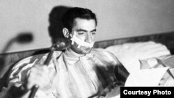 چندی بعد در سال ۲۷، محمدرضا شاه هدف یک ترور نافرجام قرار گرفت و دستگاه، انگشت اتهامش را به سوی حزب توده نشانه رفت.