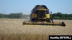 Татарстан басулары