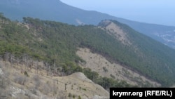 Ялтинський гірничо-лісовий заповідник