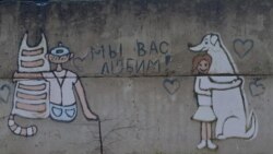 Забор у приюта псковской "Зоозащиты"