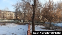 Курманжан Датка кичи району. Ош.