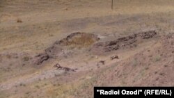 Баъзе харҳои гумшударо дар инҷо ёфтаанд