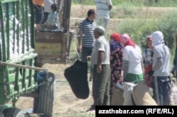 Туркменистан мобилизует десятки тысяч государственных служащих на сбор хлопка