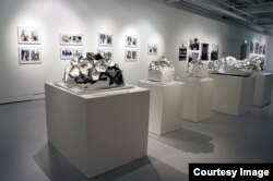 Мелдибектин көргөзмөсүндөгү тоолордун көрүнүшү