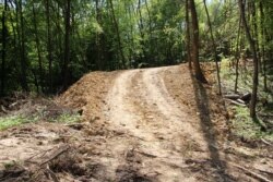 Відновлена і розширена дорога у лісі