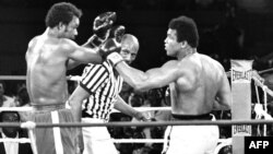 Мөхәммәт Али бокс рингында (уңда)