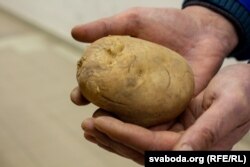 Ілюстрацыйнае фота