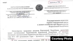 Жаратылыш ресурстары министри Эсенамановдун өкмөткө жазган каты