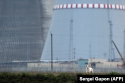 БелАЭС, архіўнае фота