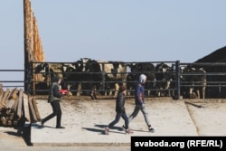 Ілюстрацыйнае фота