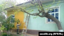 Prezident o‘tishi ehtimoli bo‘lgan ko‘chadagi uylar ana shunday shoshma-shosharlik bilan bo‘yaldi