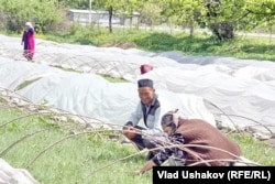 Оштогу күнөсканалардын бири