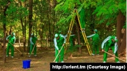 Ботанический сад