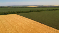 Дорога, якою рухалися бойовики