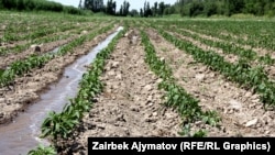 Кыргызстан